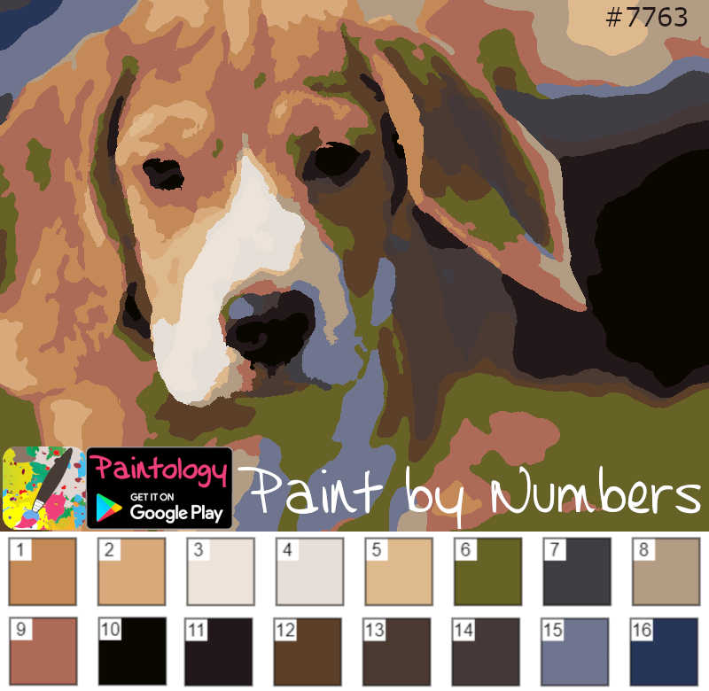 PbyNo Dog coloring - featured